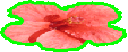 R�pertoire