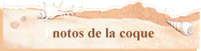 Photos de la coque