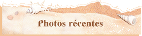 Photos r�centes