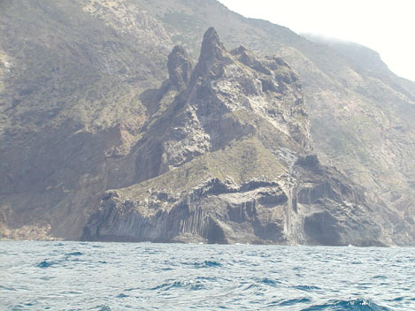 Los Oraganos