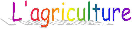 L'agriculture